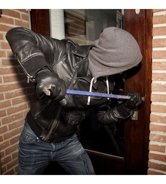 SECUSTRIP PLUS BINNENDRAAIEND - L2050MM - RAL 9010 - WIT