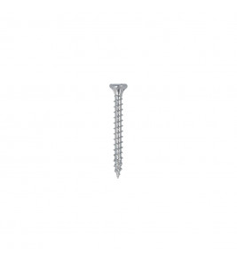 DYNAPLUS UNISCHROEF VZ PK TX-10 3.0X20 (200)