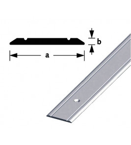 AFDEKSTRIP ALUMINIUM ZILVER GEANODISEERD 30X2MM 100CM AFDEKSTRIP ALUMINIUM ZILVER GEANODISEERD 30X2MM 100CM