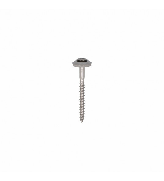 DAK&GEVEL SPENGLERSCHROEF RVS-A2 LK MET EPDM RING 15MM TX-20 4.5X80 (100)
