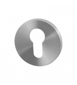 CILINDERROZET ROND 53X6,5MM RVS