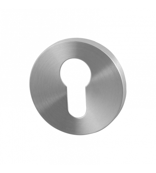 GPF0902VR RVS GEBORSTELD CILINDERROZET ROND 53X6MM