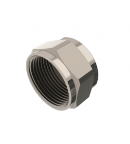 RAM DRAADFITTING AFSLUITDOP GASKRAAN M24 RAM DRAADFITTING AFSLUITDOP GASKRAAN M24