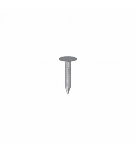 HOMEFIX ASFALTNAGEL VZ 3.0X20 (100GR)