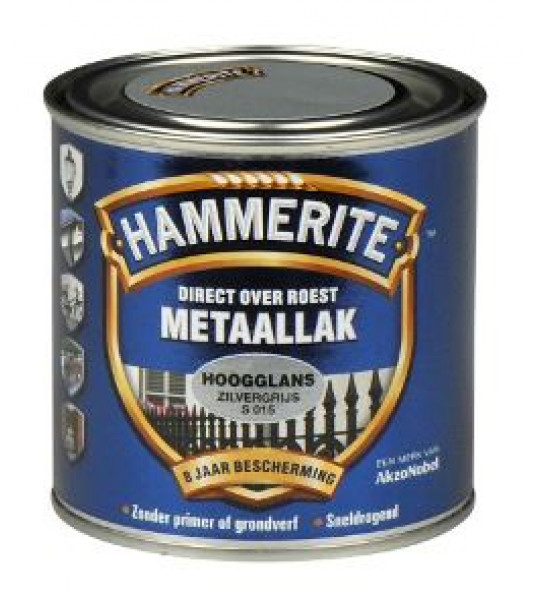 HAMMERITE HOOGGLANS ZILVERGRIJS S015 250ML