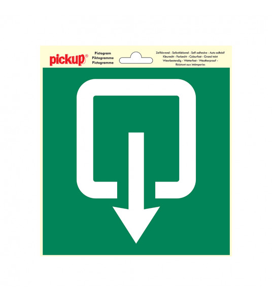 PICTOGRAM 20X20CM NORMALE UITGANG