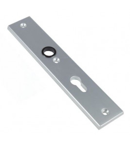 AMI SCHILDEN BINNENDEUR 251/50/8 BLIND F1 ZONDER CILINDER PER PAAR