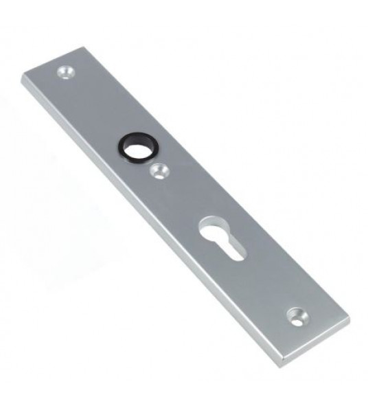 AMI BINNEN VEILIGHEIDSSCHILD 251/50/8 PC92 F1 250X50MM