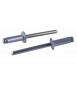 BLINDKLINKNAGEL ALUMINIUM/STAAL 4.8X20MM (100 STUKS)