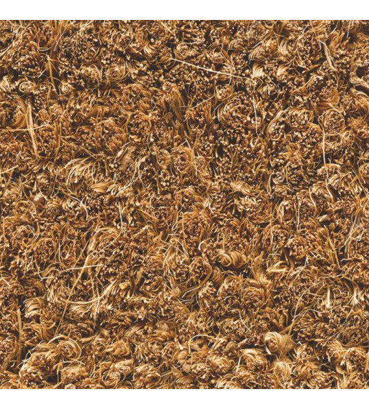 DEURMAT KOKOS RUCO COIR 17MM NATURAL 50X80CM