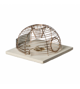 MUIZENVAL KORF LEVEND "LUNA" 1 ST MUIZENVAL KORF LEVEND "LUNA" 1 ST