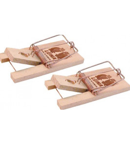 MUIZENVAL HOUT LUNA 2ST. MUIZENVAL HOUT LUNA 2ST.