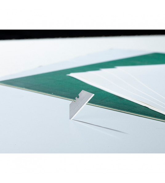 RESERVE MESJES 1991 ZONDER GATEN - 5 STUKS/KAART