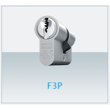 MAUER DC1-F3P-NI-12 SL-GS/4 FP2 31/31