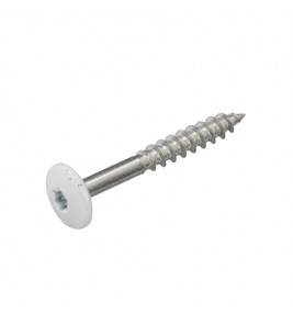 HPL TRESPASCHROEF RVS-A2 TX-20 ZUIVER WIT RAL9010 4.8X32 (100) HPL TRESPASCHROEF RVS-A2 TX-20 ZUIVER WIT RAL9010 4.8X32 (100)