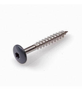 HPL TRESPASCHROEF RVS-A2 TX-20 ZWART RAL9005 4.8X38 (100) HPL TRESPASCHROEF RVS-A2 TX-20 ZWART RAL9005 4.8X38 (100)